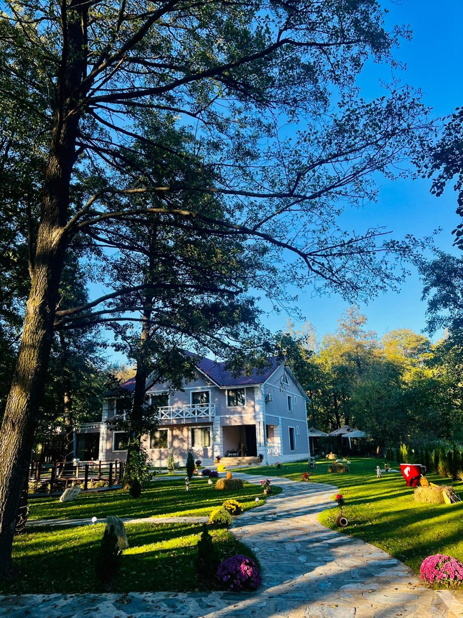 Hotel Pensiunea Pink House Runcu Runcu  Zewnętrze zdjęcie