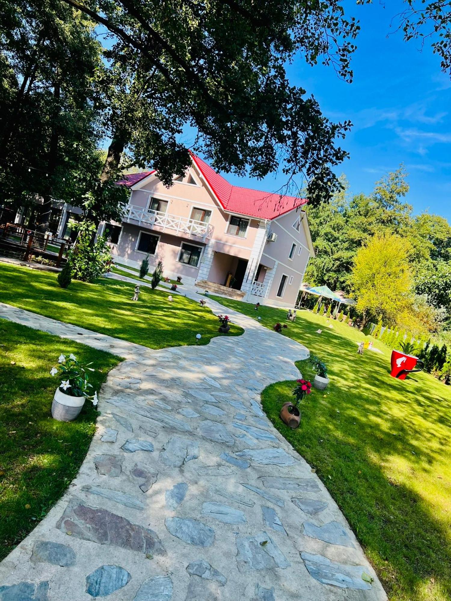 Hotel Pensiunea Pink House Runcu Runcu  Zewnętrze zdjęcie